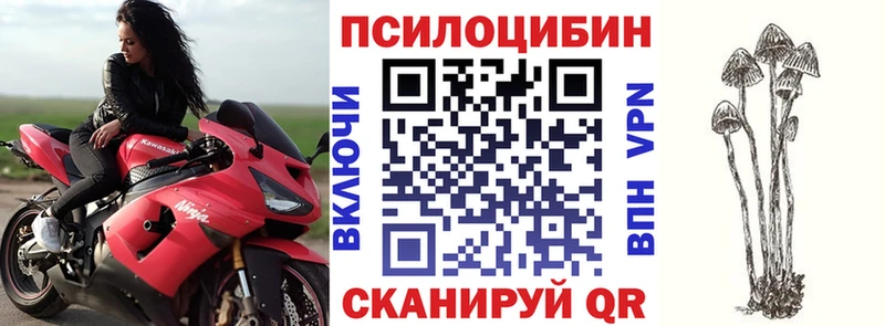 где можно купить наркотик  Лукоянов  Псилоцибиновые грибы MAGIC MUSHROOMS 
