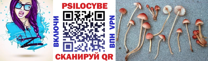 Псилоцибиновые грибы Cubensis Лукоянов